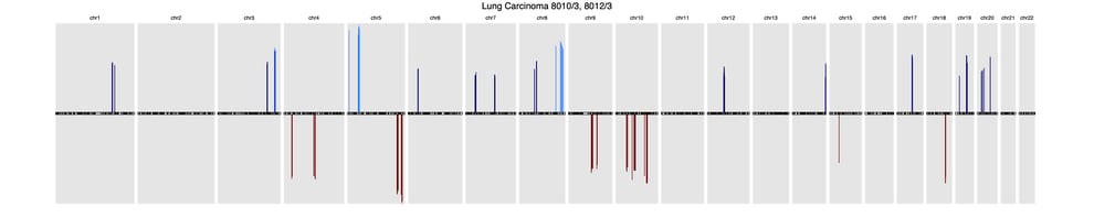lung cancer cnv signatures